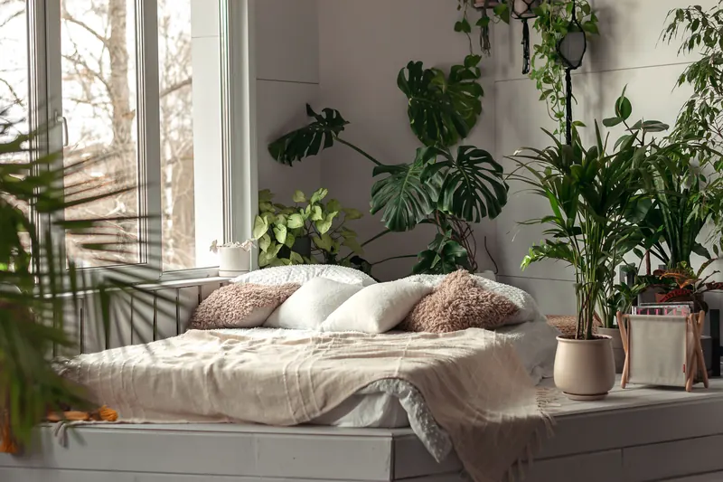 The Best Plants for the Bedroom (Hint: It's All About Air Purification) |  Architectural Digest