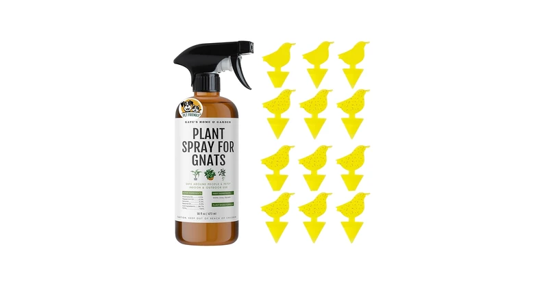 Amazon.com: Kate's Home & Garden Plant Spray for Insects & Getting Rid of  Gnats with 12 Sticky Traps. Fungus Gnat Killer & B