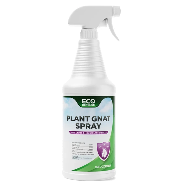 Amazon.com: Eco Defense Gnat Spray for Indoor Plants – Fungus Gnat Killer &  Houseplant Insect Control – Plant-Based Bug Spra