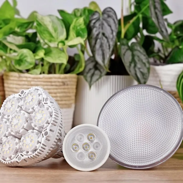 How to Use Grow Lights With Monstera Deliciosa - Planet Houseplant
