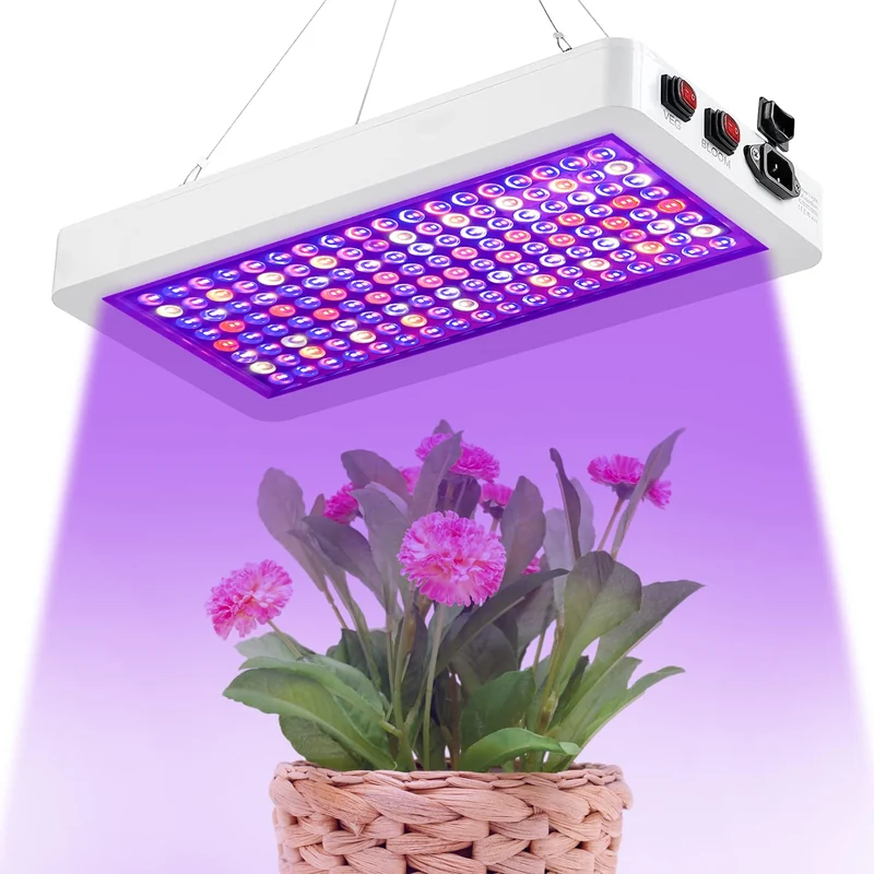Best Grow Lights for Seedlings (2026 Picks) (Source: amazon.com)