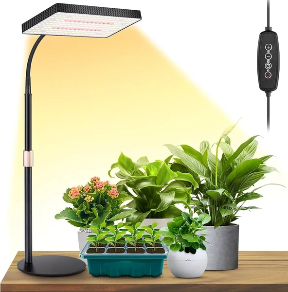 Amazon.com : LBW Desk Grow Light, Full Spectrum Plant Light for Indoor  Plants, Grow Lamps with 4/8/12H Timer, 10