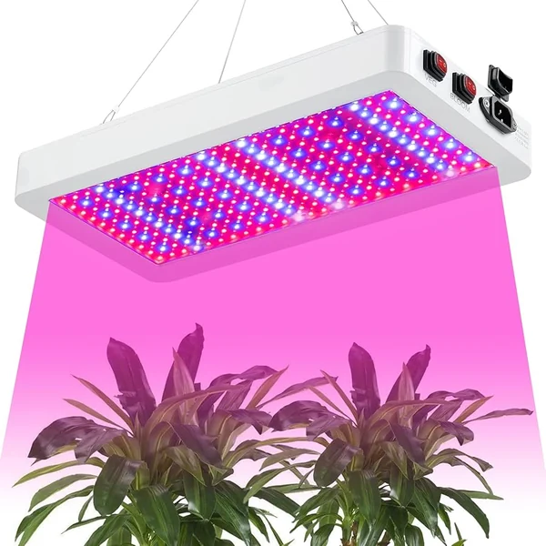 Amazon.com : SERWING B1000W LED Plant Grow Light Dimmable,Best Grow Lights  for Indoor Plants Full Spectrum, Seed Starting Se