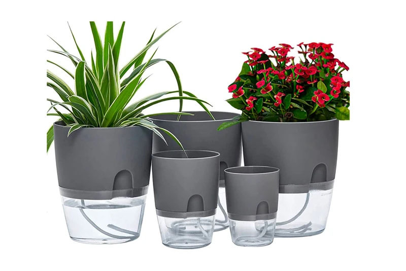Our Top 6 Self-Watering Planters Your Plants Need Now