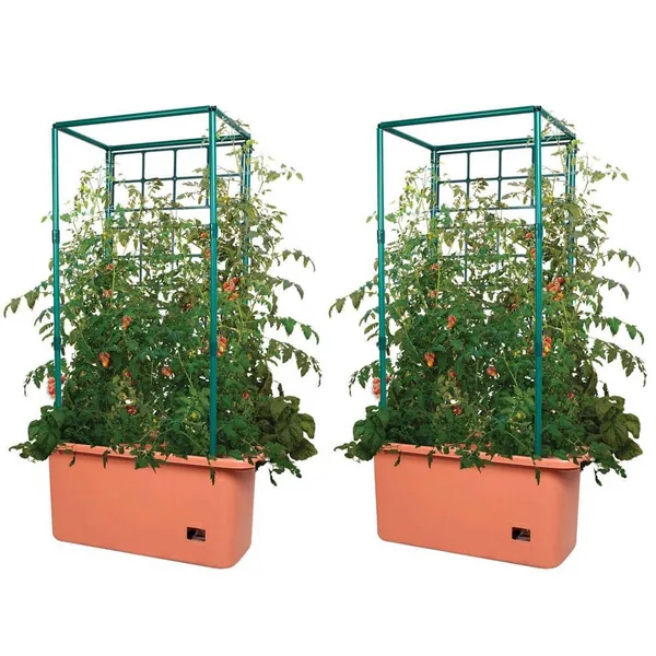 Hydrofarm 10 Gallon Tomato Trellis Self-Watering Grow System (2-Pack) 2 x GCTR - The Home Depot