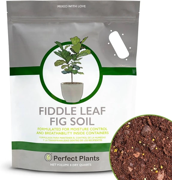Amazon.com : Fiddle Leaf Fig Soil by Perfect Plants 8QTS, Premium  Professional Blend for All Fiddle Leaf Figs : Patio, Lawn 