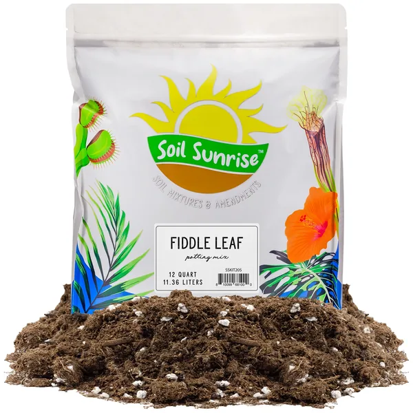 Soil Sunrise 12qt Fiddle Leaf Fig Potting Mix in the Soil department at  Lowes.com