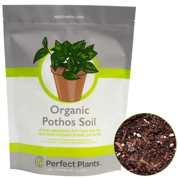 Amazon.com : Perfect Plants Organic Pothos Soil | Horticultural Potting Mix  for All Indoor Potted Pothos | Grow Healthy hous
