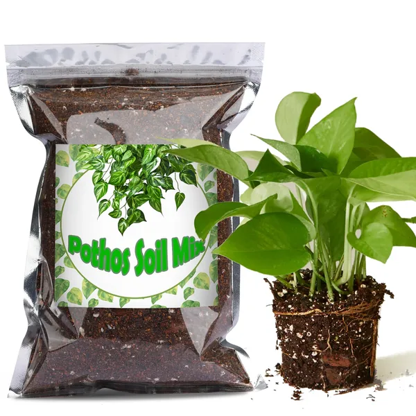 Amazon.com : Doter Organic Pothos Soil Mix 10qt, Indoor Plants Potting Mix  for All Potted Pothos, Grow Healthy houseplants I