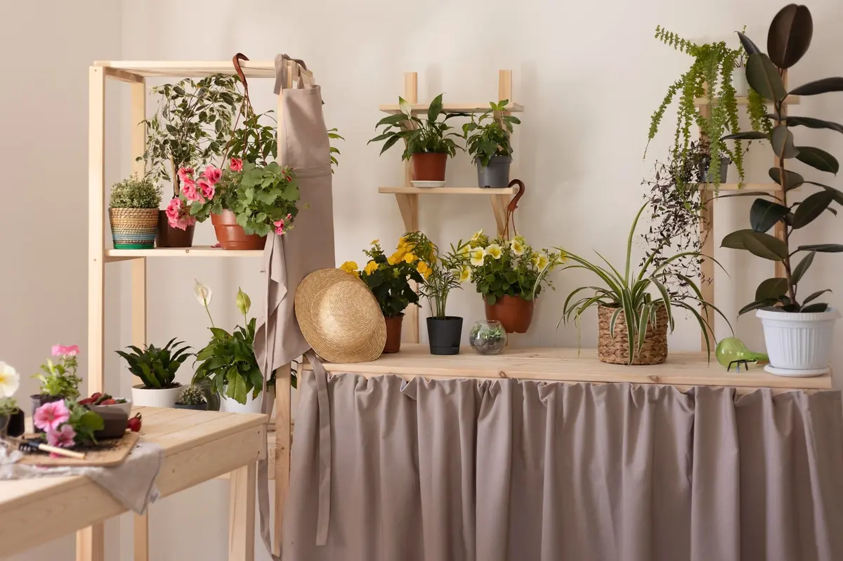 Indoor Plants: The Complete Guide for 2026 (Source: sansiled.com)