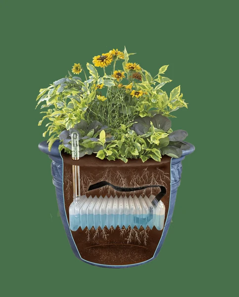 Adjustable Self-Watering Insert for Pots and Planters